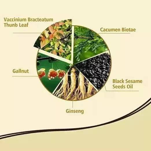 3 in 1 Hair Dye Shampoo for Men and Women, Instant Hair Coloring, 100% Grey Coverage, Natural Black Hair Dye in Minutes (500ml) (Black)